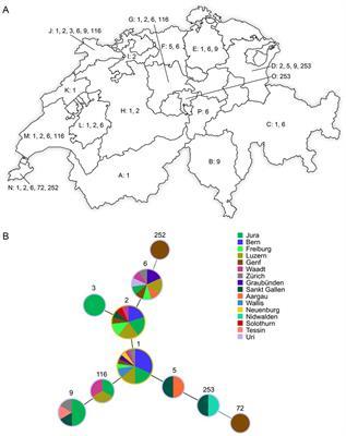 Strain diversity in Mycobacterium avium subsp. paratuberculosis-positive bovine fecal samples collected in Switzerland